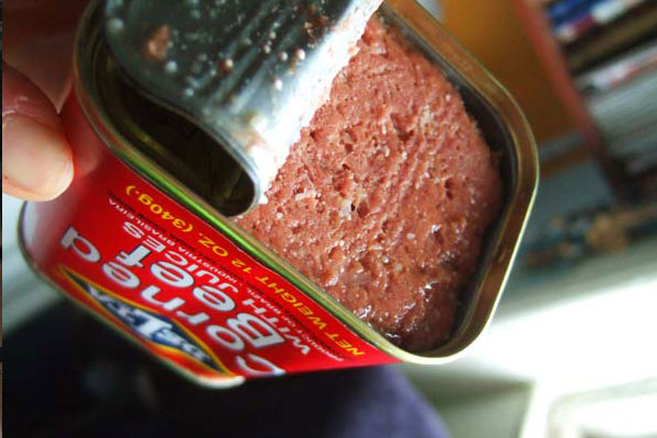Human hand holding a can of meat