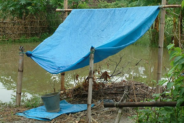 Blue tarp, a metal bucket, and bamboo used to collect rain water