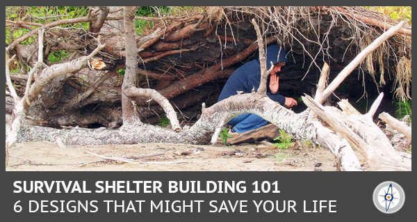 man sitting under a shelter made of tree roots in a forest