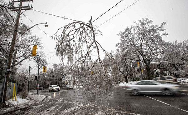 Broken branch on power line in winter weather