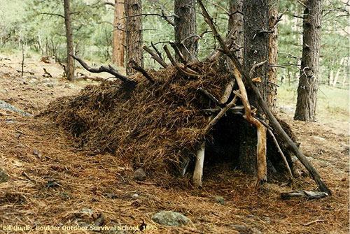 Debris hut made from branches and pine needles in the woods