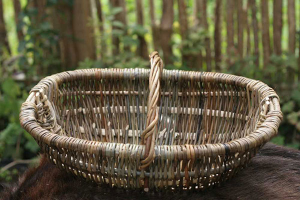 Willow basket in the woods