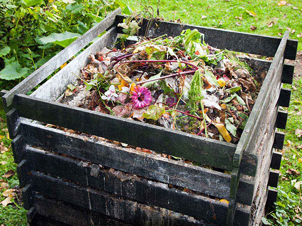 wooden crate in a field filled with compost that needs to be mixed
