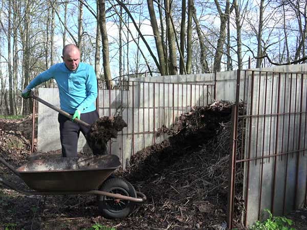 man in blue shirt shoveling compost soil into a wheel barrow