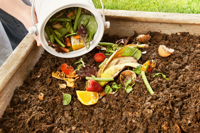 Person dumping food into pile of dirt