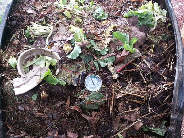 bag of compost soil with a thermometer placed in it to check temperature