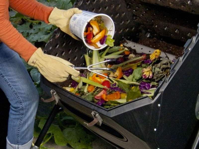 Person dumping old food from a container into a compost