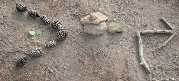 pine cones rocks and sticks setup to point a direction so you don't forget