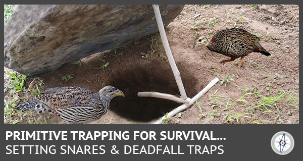 fall trap setup to catch two birds in a hole