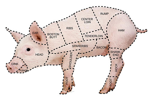 Diagram showing the different types of pork cuts