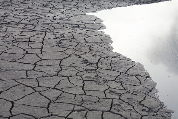 cracked and dried out ground with water on half of it