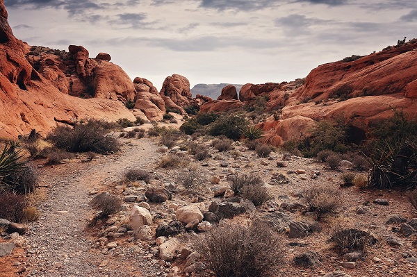 trails in the desert through a canyon