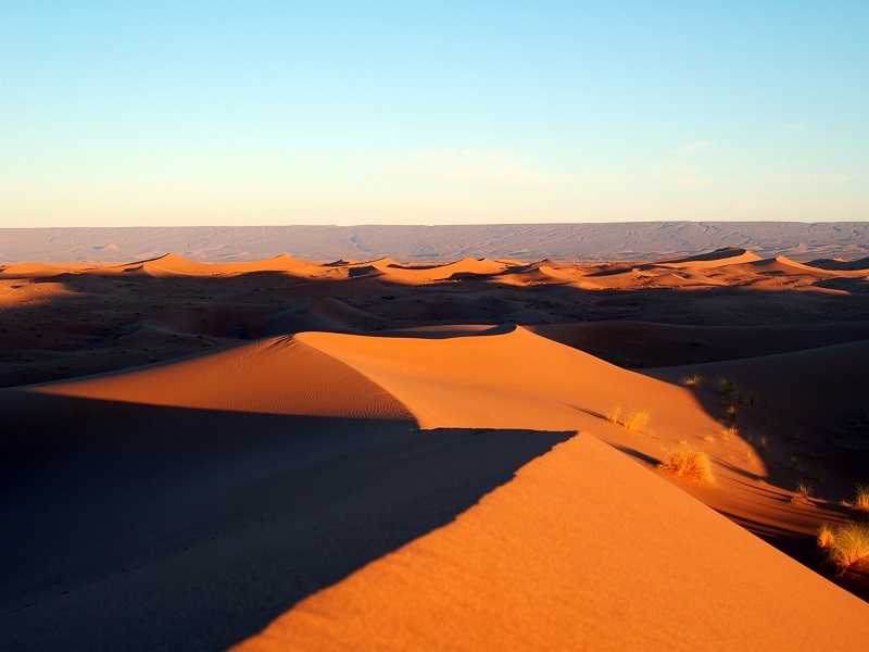 The sandy desert