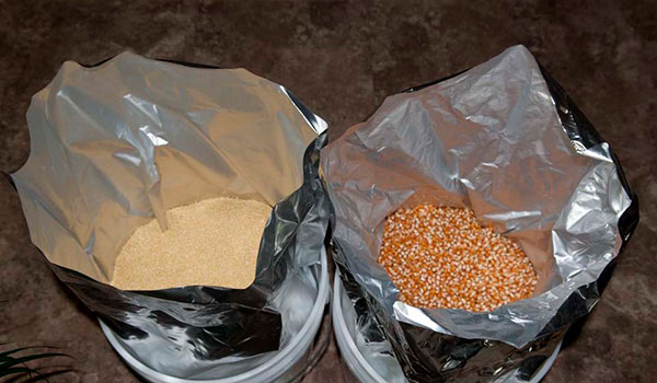 Sealing buckets of grains