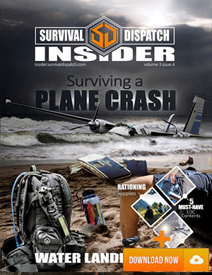 Insider Issue cover Surviving a Plane Crash Guide