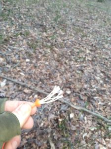 man holding an edible mushroom in the woods