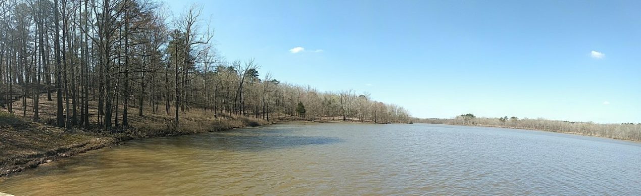 A river with woods alongside it