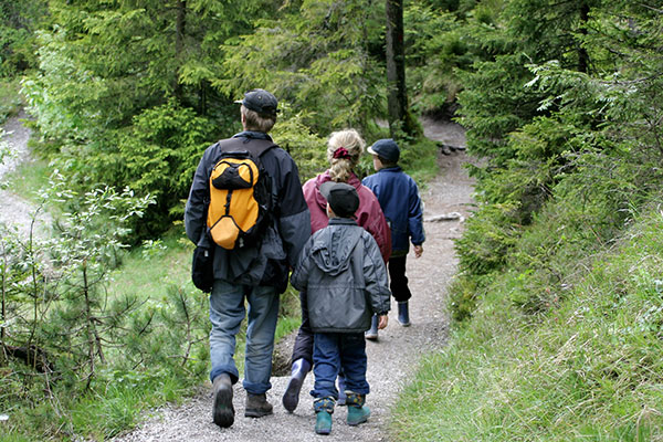family of four hiking down a beautiful wooded trail