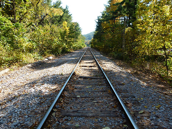 railroad tracks going off into the distance