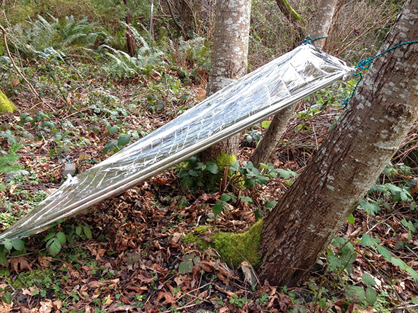 a thermal blanket attached to two trees for shelter