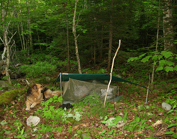 a tarp being used for shelter