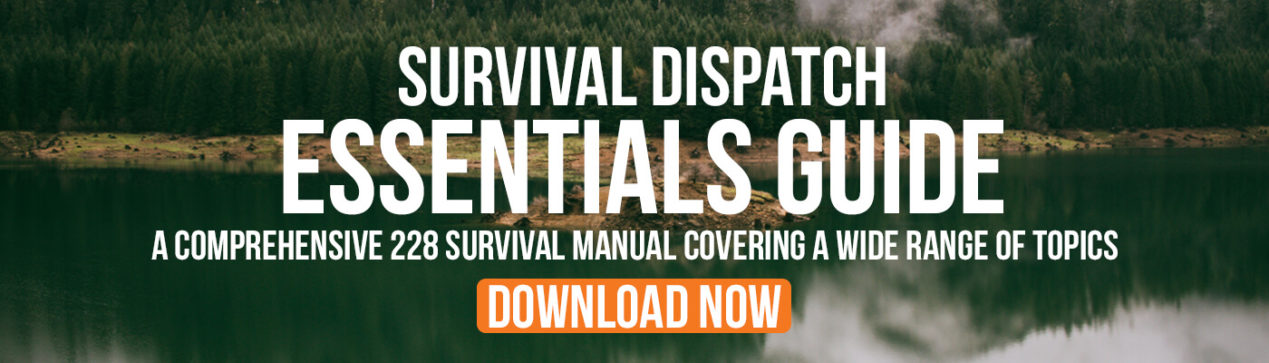 Survival Dispatch Essentials Guide Download banner