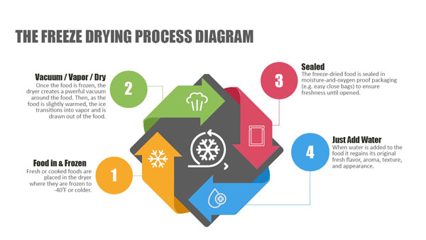 Freeze Drying Process diagram for freeze drying food