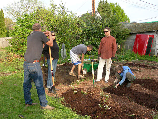 Family working in a garden planting sees