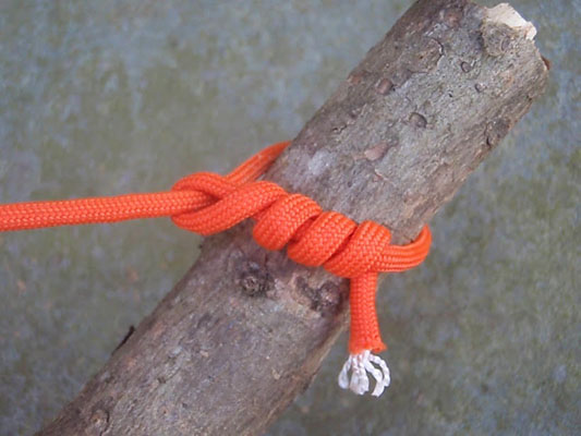 timber hitch knot of orange parachord on a branch