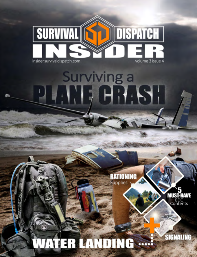 last day on earth survival plane crash
