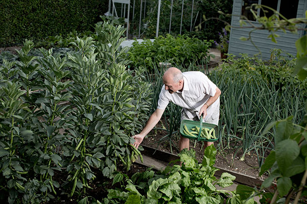 Harvesting produce