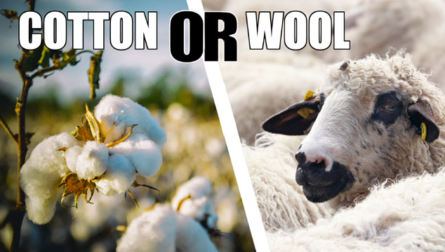 Cotton VS Wool 