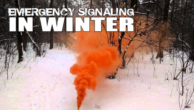 Winter Signaling title image