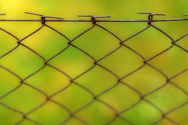 Wire Fence