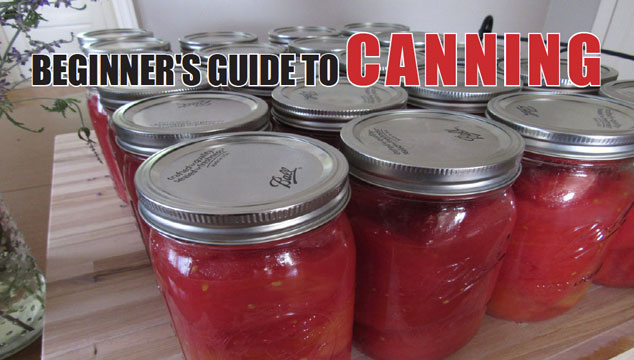 A Beginner's Guide to Canning