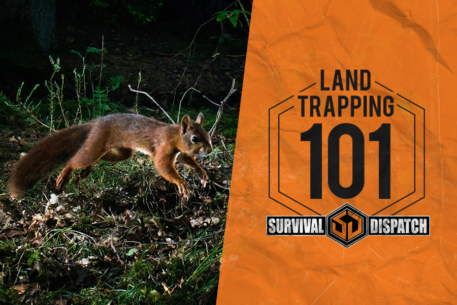 Snares & Traps 101