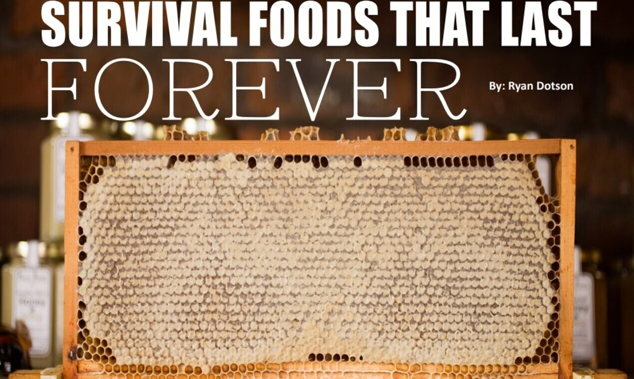 Survival Foods that Last Forever Survival Dispatch