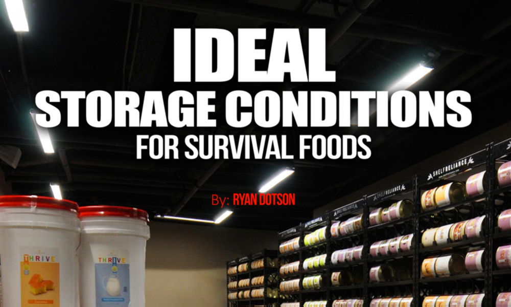 How Hot is Too Hot for Food Storage? - The Survival Mom